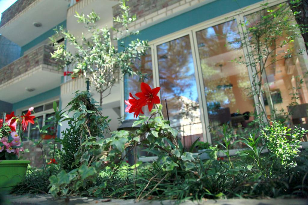 Hotel Princi I Vogel Velipoje Bagian luar foto